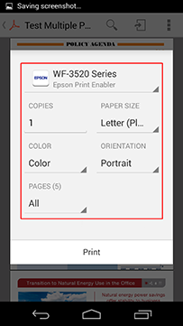 Supports a variety of print options